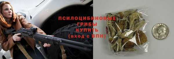 дживик Армянск