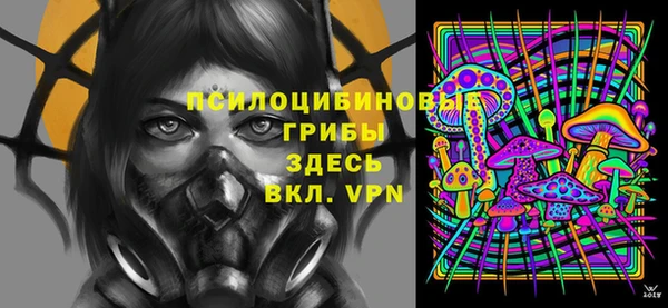 дживик Армянск