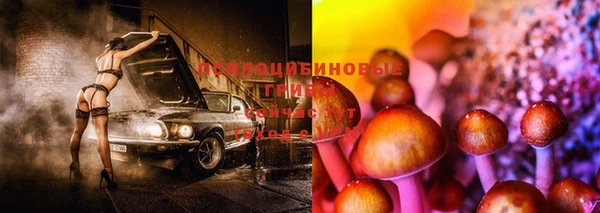 прущая мука Арсеньев