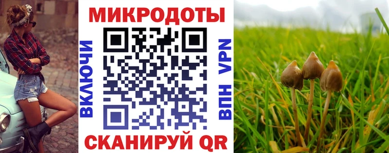 Галлюциногенные грибы GOLDEN TEACHER Покровск